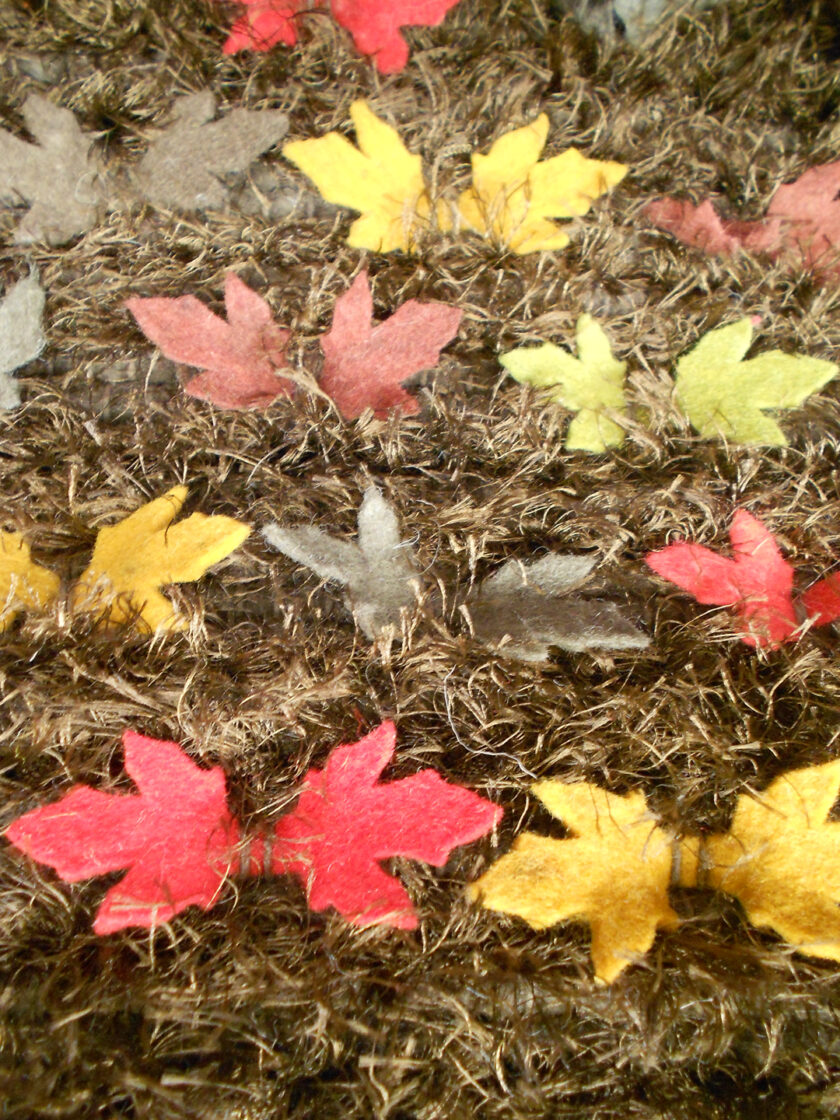 Otoño Zoom